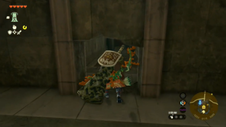 Zelda TotK  - Entrance to the Royal Hidden Passage.png