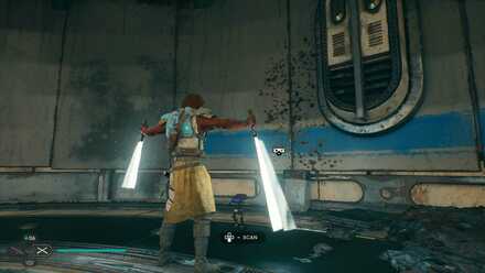 Fallen Order - Indomitable In Game Image