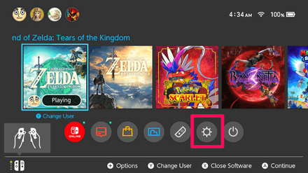 Zelda TotK - How to Check Space in the Switch Step 1