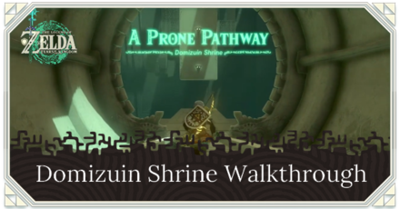 Zelda TotK Domizuin Shrine
