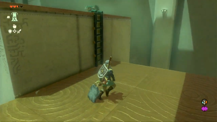 Zelda TotK Domizuin Shrine Climb the Ladder