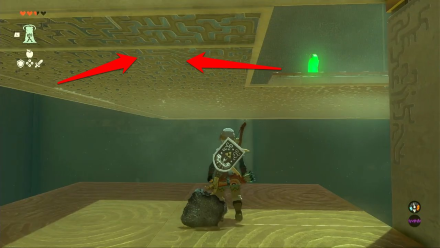 Zelda TotK Domizuin Shrine Ascend to the Big Room