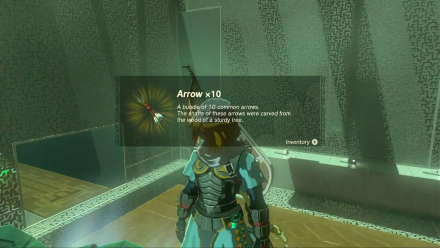 Zelda TotK Domizuin Shrine Arrow x10