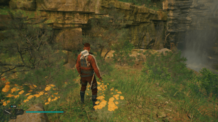 Fallen Order - Spine Fluff Map Image