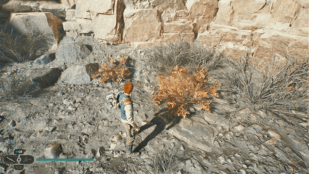 Fallen Order - Koboh Spiker In Game Image