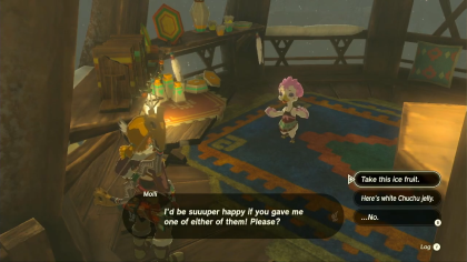 Tears of the Kingdom Molli the Fletcher Step 3