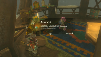 Tears of the Kingdom Molli the Fletcher Step 4