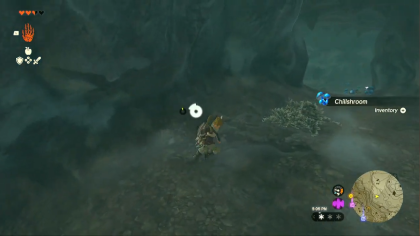 Tears of the Kingdom Crossing the Cold Pool Step 8