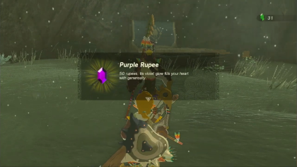 Tears of the Kingdom Crossing the Cold Pool Step 9