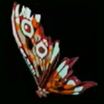 Legend of Zelda TOTK Gibdo Wing