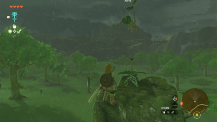 TotK - Korok Seed