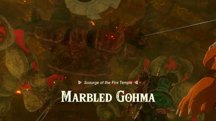 TotK - Marbled Gohma.jpg