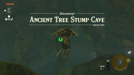 Ancient Tree Stump Cave Entrance Overworld Image