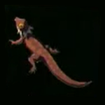 Legend of Zelda TOTK Hightail Lizard