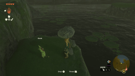 TotK - Korok Seed