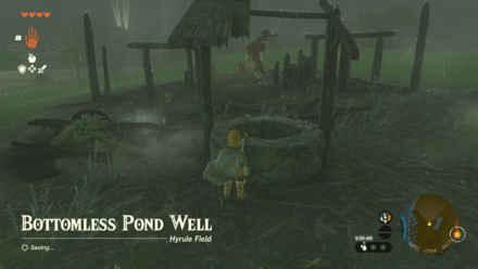 Bottomless Pond Well Entrance Overworld Image