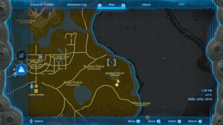 Tears of the Kingdom - Applean Forest