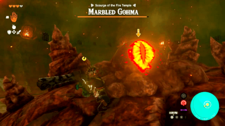 TOTK - Hit Marbled Gohma