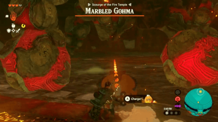 TOTK - Stay Away From Exploding Balls