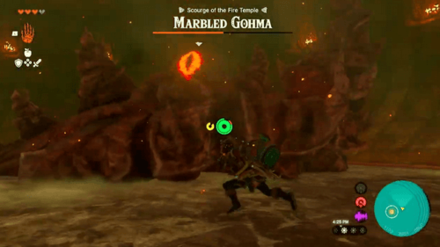 TOTK - Hit Marbled Gohma