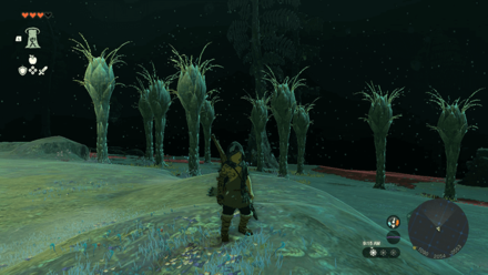 TotK - Great Hyrule Forest Depths