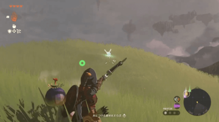 Zelda TotK - Attack Blupees to Earn Rupees