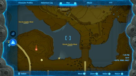Tears of the Kingdom - Hyrule Castle Moat