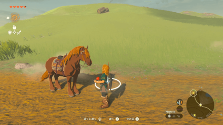 Zelda TotK - Give Food Method 1