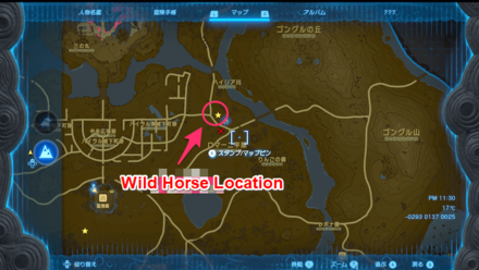Zelda TotK - West of Yamiyo Shrine