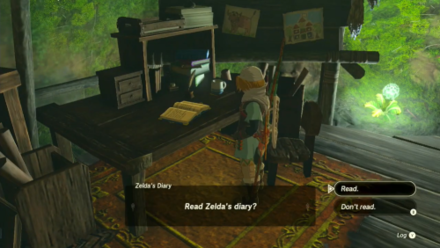 Tears of the Kingdom TOTK A New Champion