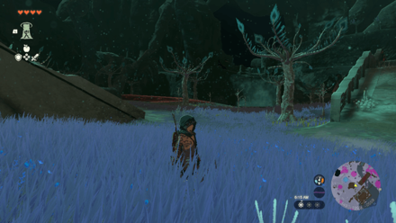 TotK - Faron Grasslands Depths