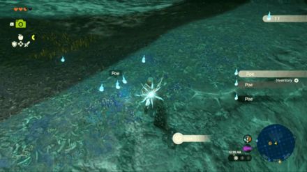Zelda TotK - Poe Farming Location Overworld Image