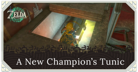 Zelda Tears of the Kingdom TotK - A New Champion