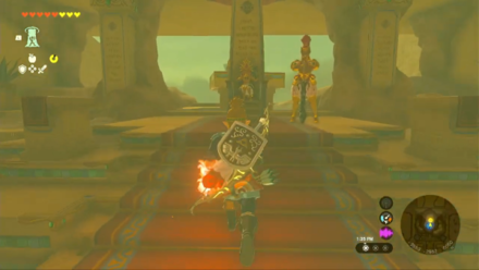 Zelda TotK - Riju of Gerudo Town