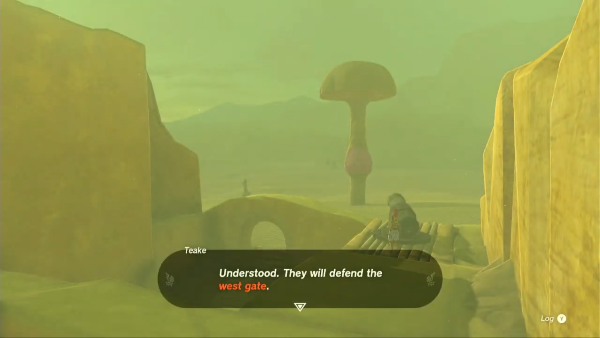 TotK - cannoneer and a barricade