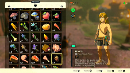 Zelda Tears of the Kingdom TotK Gather some acorns.png