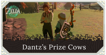 Zelda Tears of the Kingdom TotK Dantz