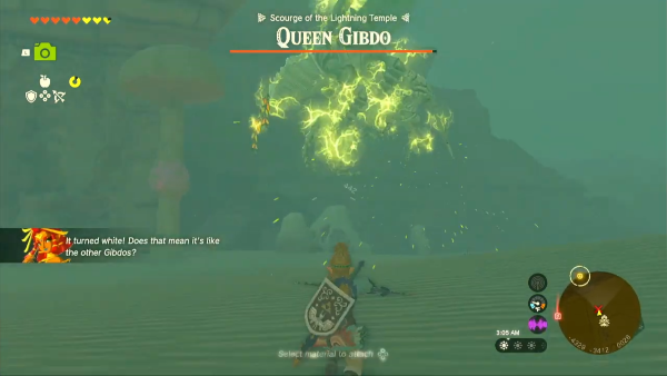 TotK - Queen Gibdo turning white after getting hit by a lightning attack