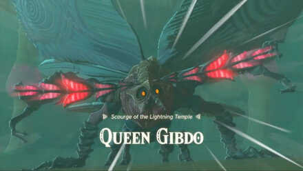 Zelda TotK - Lightning Temple Queen Gibdo Entrance