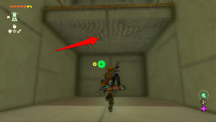 Zelda TotK Orochium Shrine Platform with Chest