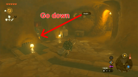 Zelda Tears of the Kingdom TOTK - The Heroine