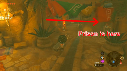 Zelda Tears of the Kingdom TOTK - The Heroine