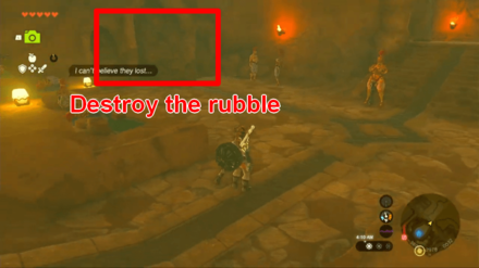 Zelda Tears of the Kingdom TOTK - The Heroine