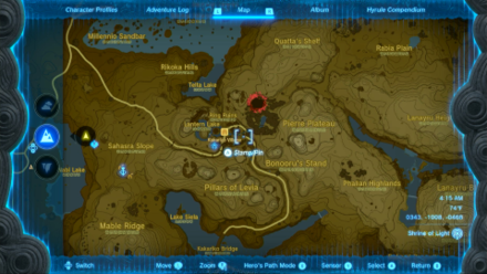 Tears of the Kingdom - Gloom-Borne Illness