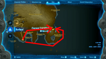 Zelda Tears of the Kingdom TotK - A Bottled Cry for Help 1