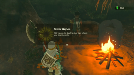 Zelda Tears of the Kingdom TotK - A Bottled Cry for Help 3