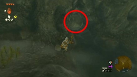 Zelda Tears of the Kingdom TotK - A Bottled Cry for Help 2