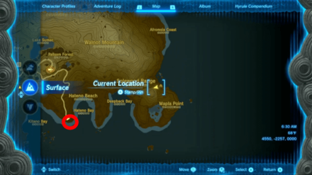 Tears of the Kingdom - A Bottled Cry for Help