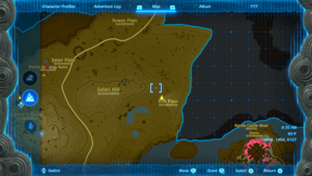 Tears of the Kingdom - Irch Plain