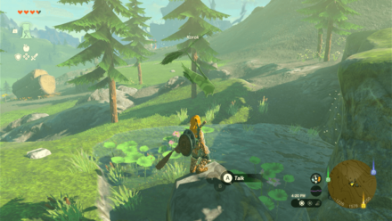 TotK - Korok Seed
